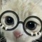 MeowD