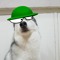 Expunged dogo