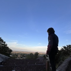 Dyl