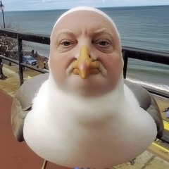 Alisha🏴󠁧󠁢󠁳󠁣󠁴󠁿🍃