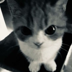 ｌｏｓｔｉｎｖａｓｉｏｎ がゐ花