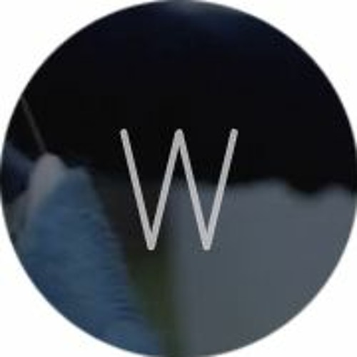 wade’s avatar