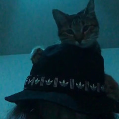 xtrateerestrial