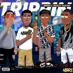 NIBRS OFICIAL