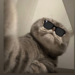 MeNk0
