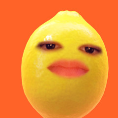 HARAJUKUBBY