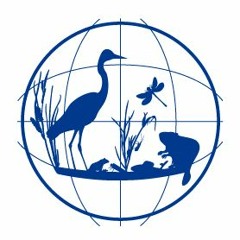 The Freshwater Blog