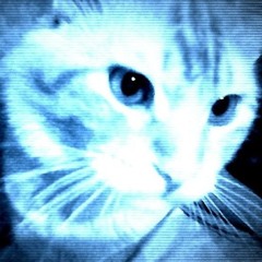 𝐓𝐎𝐎𝐓𝐇.