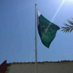 Muhammad Mustafa AL Bakistani