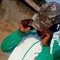 TheBoySaviour