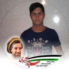فیض احمد تیموری