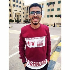 Mr_Mego