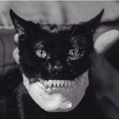 Catboom
