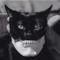 Catboom