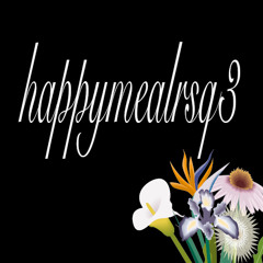 happymealrsq3