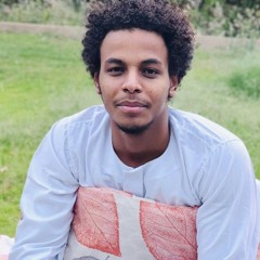 Ahmed Hamdi