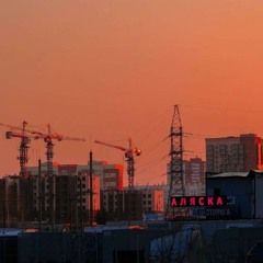 rookarook