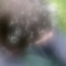freearbo