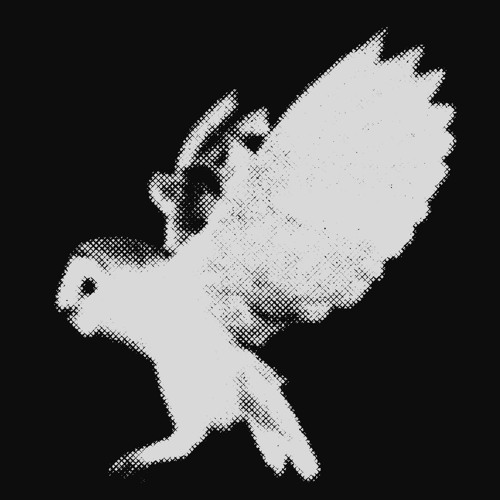 White Owl Records’s avatar