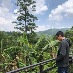 ဇော်ပိုင် - နားလည်ပါ