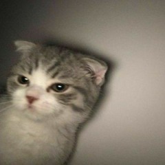 뭐