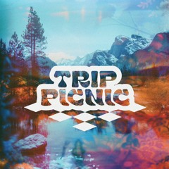 Trip Picnic