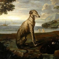 Tribunii