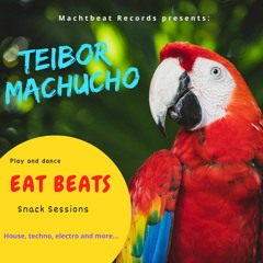 Teibor Machucho
