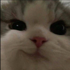 tjdwhd