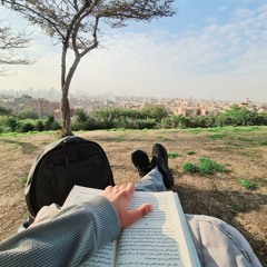 Rehab Elmaghraby