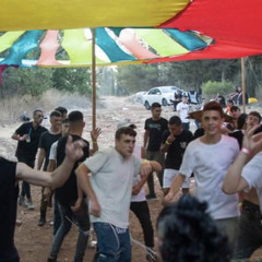שוללליצקוץ