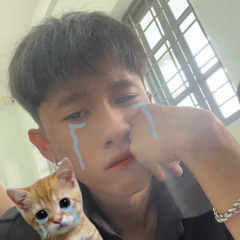 Hồng Phi