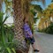 LitTree