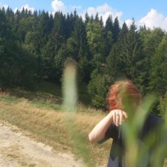 Curtains made for movin