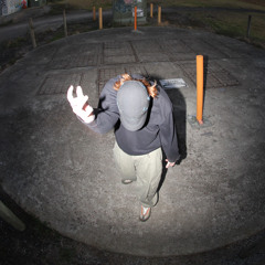 Villella