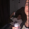 Dre bushby