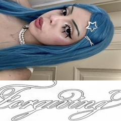 ·˚*୨୧꒰∗venusentropia∗꒱୨୧*˚·