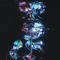 SPACELY