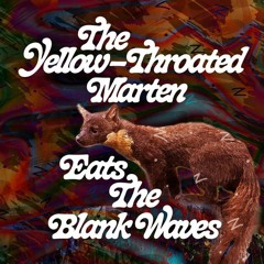 TheBlankWaves