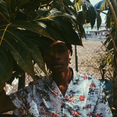 Dmsnd01