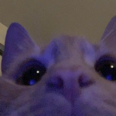 kys
