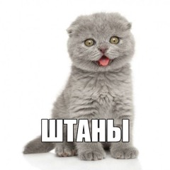 максим дамский треугольник