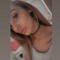 emx_h