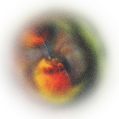 z. m