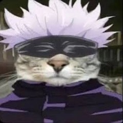 Gojo Da Cat