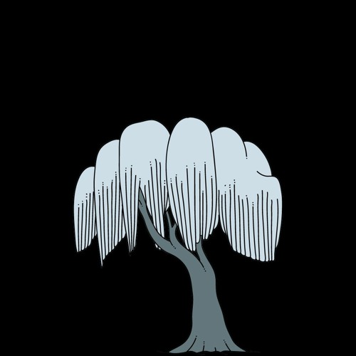 willow tree’s avatar