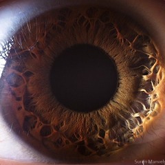 theChristopherCharmed