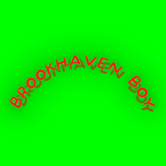 Brookhaven boy😎
