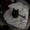 sweezee.p