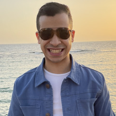 Amr Tarek Abdel-Gayed